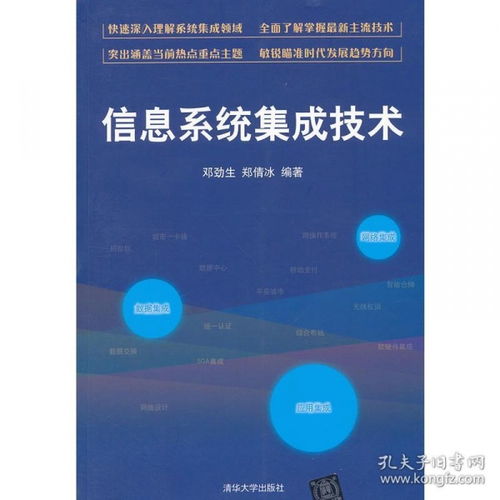 信息系統(tǒng)集成技術(shù) 構(gòu)建高效服務(wù)的基石